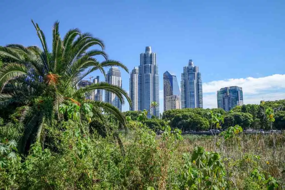 Contato com a natureza na Reserva Ecológica Costanera Sur Trilha na Reserva Ecológica de Buenos Aires com vegetação nativa.