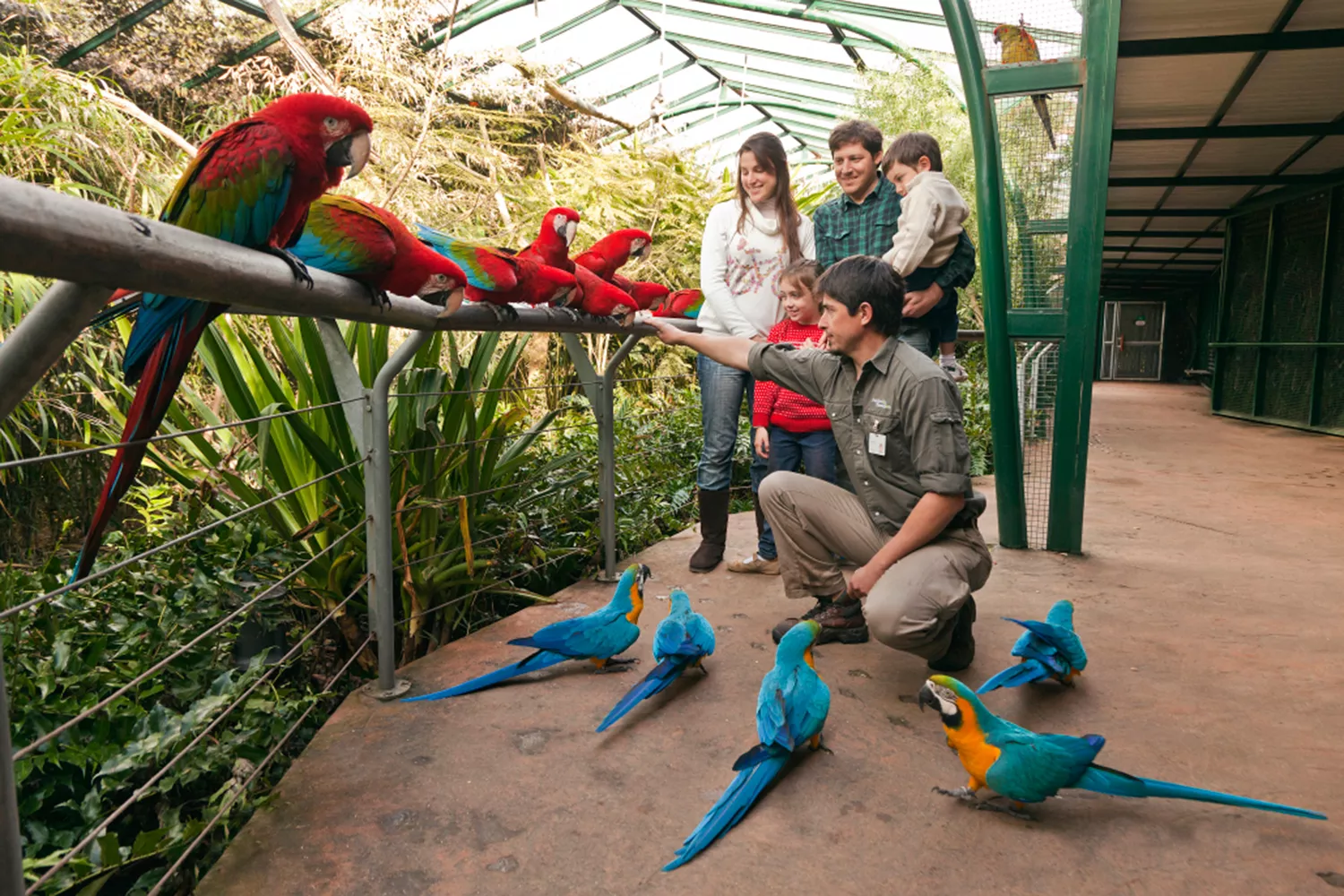 Bioparque Temaiken: passeio com crianças Animais no Bioparque Temaiken, um passeio em família perto de Buenos Aires.