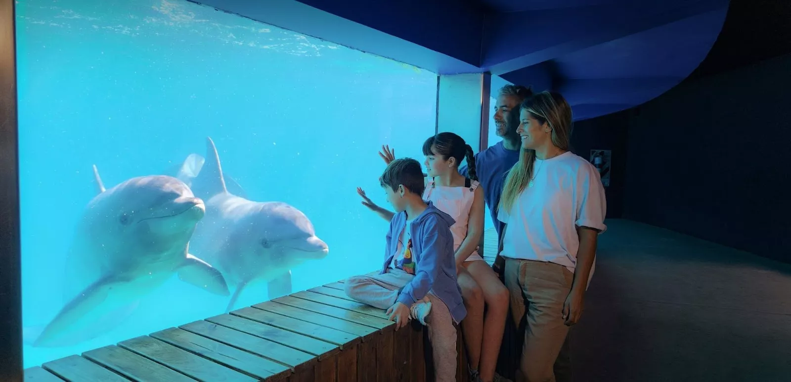 Mundo Marino em San Clemente del Tuyu Show de golfinhos no Mundo Marino, o maior aquário da América do Sul.