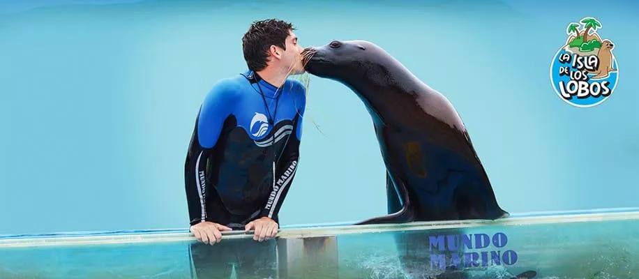 Atrações do Mundo Marino Apresentação com leões-marinhos no Mundo Marino.