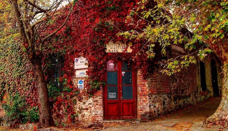 Outono em Colônia del Sacramento Rua de Colônia del Sacramento com folhas de outono no chão.