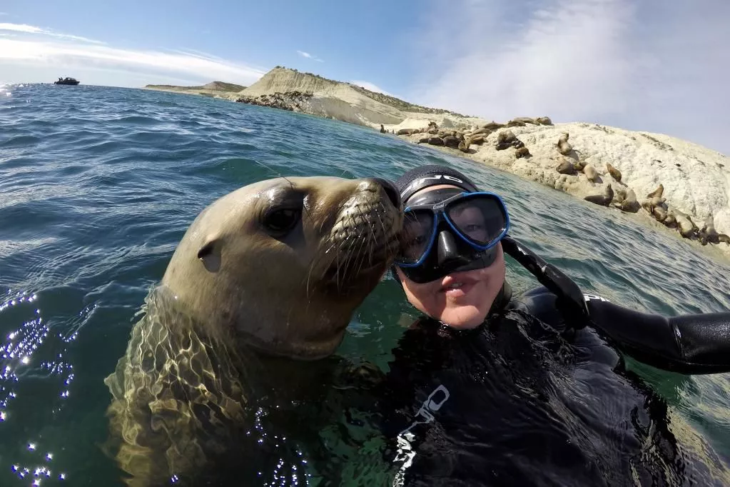 Atividades aquáticas em Porto Madryn Mergulhador praticando mergulho com snorkel nas águas de Porto Madryn.