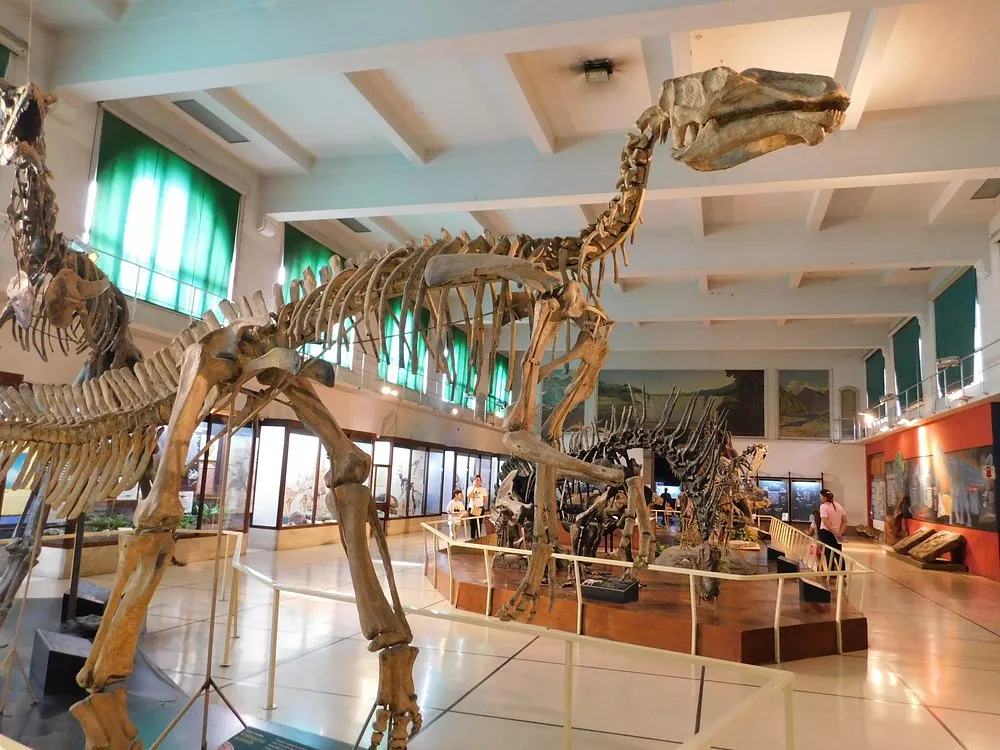 Museu de Ciências Naturais para crianças Esqueletos de dinossauros em exposição no Museu de Ciências Naturais de Buenos Aires.