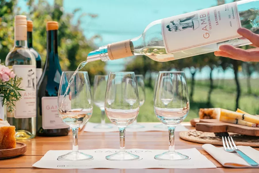 Descubra a Vinícola Gamboa em Buenos Aires: O Paraíso do Vinho Argentino