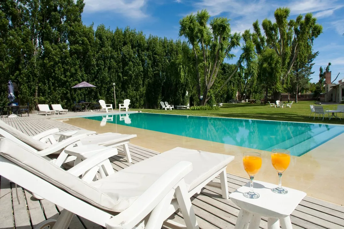 Onde Ficar em Porto Madryn: Opções de Hospedagem para uma Estadia Memorável