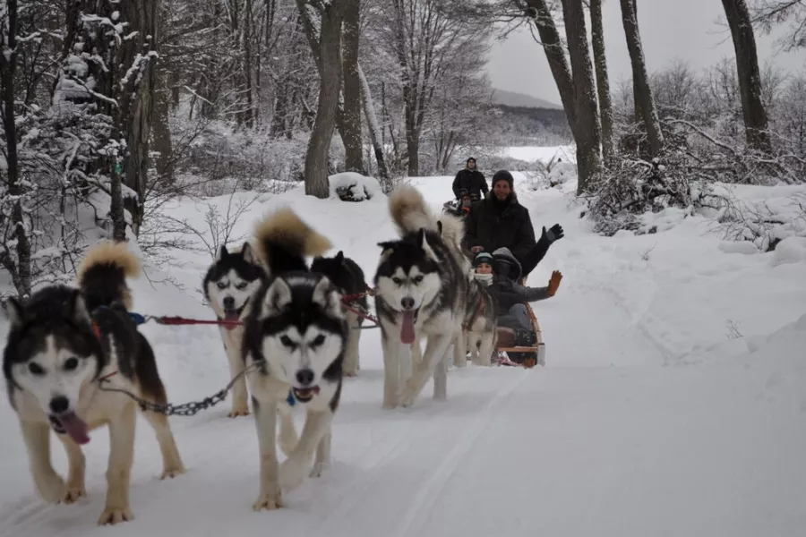 Passeio na neve de snowmobile e trenó com huskies ½ período